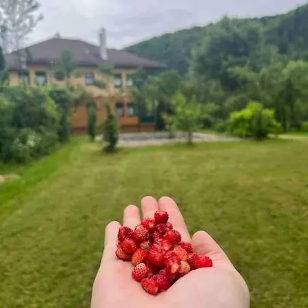 Villa Ranch Retreat Secluded Exclusive Pool Fojnica